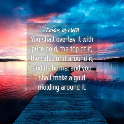 Picture 04 - Exodus 30:3 WEB - You shall overlay it with pure gold, the top of - Bible Verse Picture