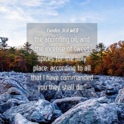 Picture 04 - Exodus 31:11 WEB - the anointing oil, and the incense of sweet - Bible Verse Picture