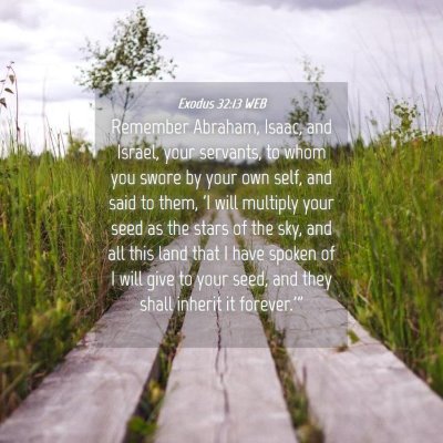 Picture 04 - Exodus 32:13 WEB - Remember Abraham, Isaac, and Israel, your - Bible Verse Picture