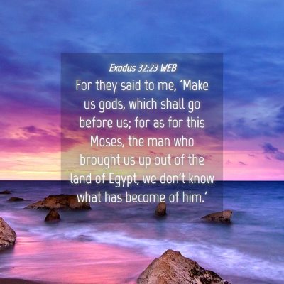Picture 04 - Exodus 32:23 WEB - For they said to me, 'Make us gods, which shall - Bible Verse Picture