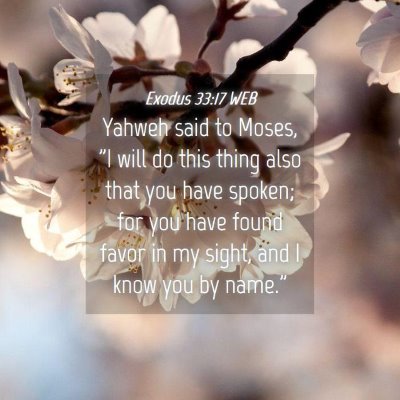 Picture 04 - Exodus 33:17 WEB - Yahweh said to Moses, 