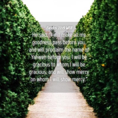 Picture 04 - Exodus 33:19 WEB - He said, 
