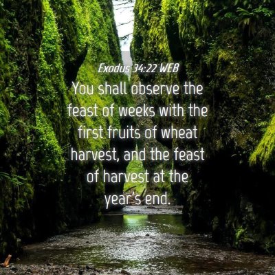 Picture 04 - Exodus 34:22 WEB - You shall observe the feast of weeks with the - Bible Verse Picture