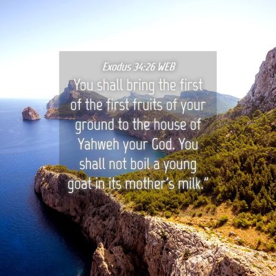 Picture 04 - Exodus 34:26 WEB - You shall bring the first of the first fruits of - Bible Verse Picture