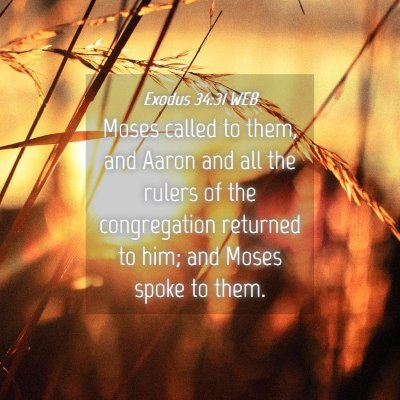 Picture 04 - Exodus 34:31 WEB - Moses called to them, and Aaron and all the - Bible Verse Picture