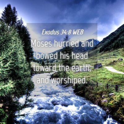 Picture 04 - Exodus 34:8 WEB - Moses hurried and bowed his head toward the - Bible Verse Picture