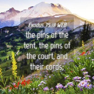 Picture 04 - Exodus 35:18 WEB - the pins of the tent, the pins of the court, and - Bible Verse Picture