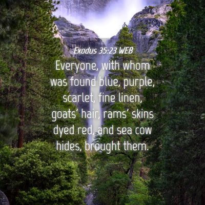 Picture 04 - Exodus 35:23 WEB - Everyone, with whom was found blue, purple, - Bible Verse Picture