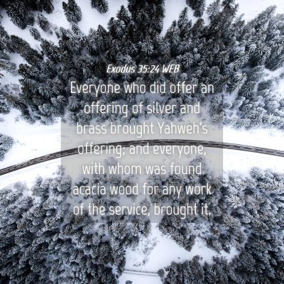 Picture 04 - Exodus 35:24 WEB - Everyone who did offer an offering of silver and - Bible Verse Picture