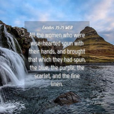 Picture 04 - Exodus 35:25 WEB - All the women who were wise-hearted spun with - Bible Verse Picture