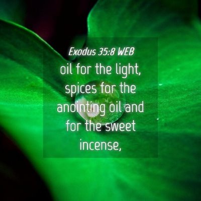 Picture 04 - Exodus 35:8 WEB - oil for the light, spices for the anointing oil - Bible Verse Picture