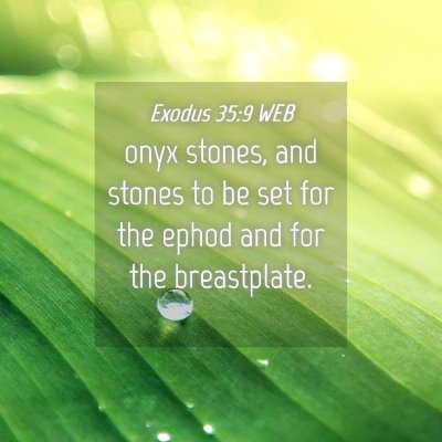 Picture 04 - Exodus 35:9 WEB - onyx stones, and stones to be set for the ephod - Bible Verse Picture