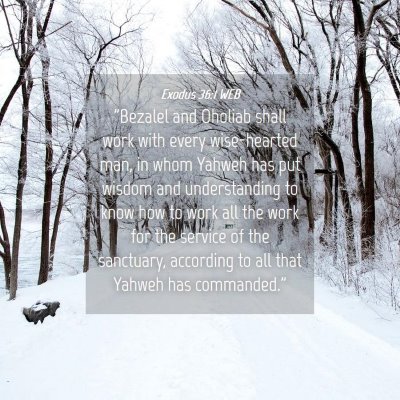 Picture 04 - Exodus 36:1 WEB - 