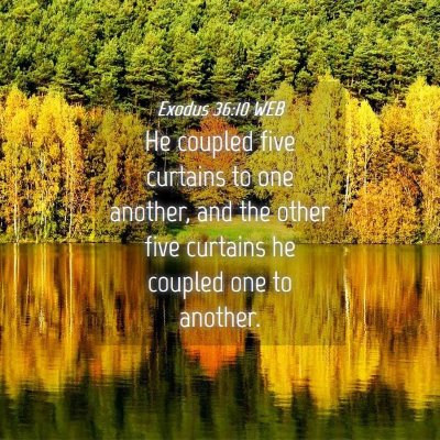 Picture 04 - Exodus 36:10 WEB - He coupled five curtains to one another, and the - Bible Verse Picture