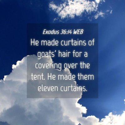 Picture 04 - Exodus 36:14 WEB - He made curtains of goats' hair for a covering - Bible Verse Picture