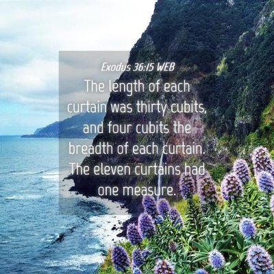 Picture 04 - Exodus 36:15 WEB - The length of each curtain was thirty cubits, and - Bible Verse Picture