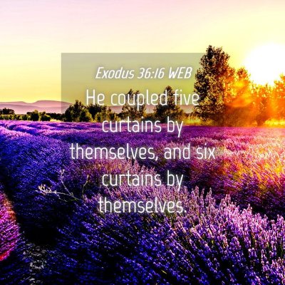 Picture 04 - Exodus 36:16 WEB - He coupled five curtains by themselves, and six - Bible Verse Picture