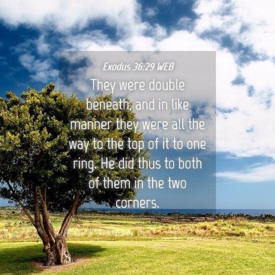 Picture 04 - Exodus 36:29 WEB - They were double beneath, and in like manner they - Bible Verse Picture