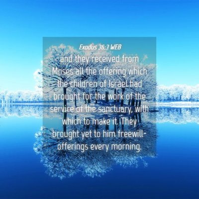 Picture 04 - Exodus 36:3 WEB - and they received from Moses all the offering - Bible Verse Picture