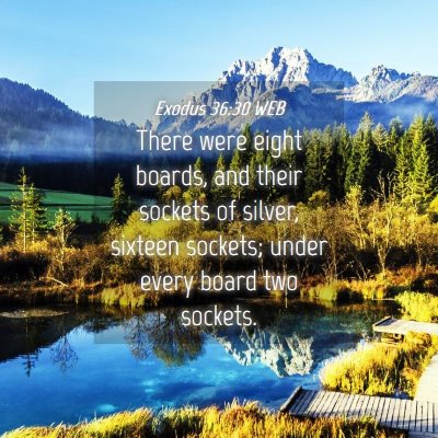 Picture 04 - Exodus 36:30 WEB - There were eight boards, and their sockets of - Bible Verse Picture