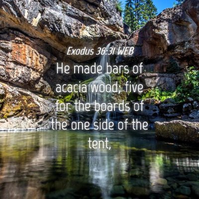 Picture 04 - Exodus 36:31 WEB - He made bars of acacia wood; five for the boards - Bible Verse Picture