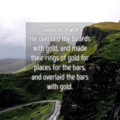Picture 04 - Exodus 36:34 WEB - He overlaid the boards with gold, and made their - Bible Verse Picture