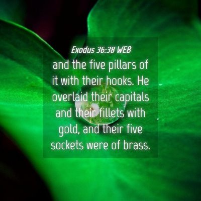 Picture 04 - Exodus 36:38 WEB - and the five pillars of it with their hooks. He - Bible Verse Picture
