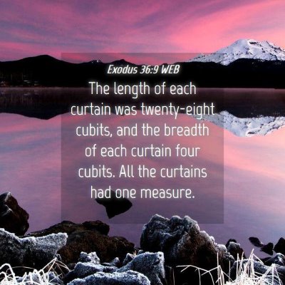 Picture 04 - Exodus 36:9 WEB - The length of each curtain was twenty-eight - Bible Verse Picture