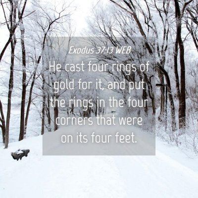 Picture 04 - Exodus 37:13 WEB - He cast four rings of gold for it, and put the - Bible Verse Picture