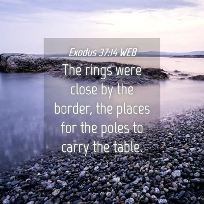 Picture 04 - Exodus 37:14 WEB - The rings were close by the border, the places - Bible Verse Picture