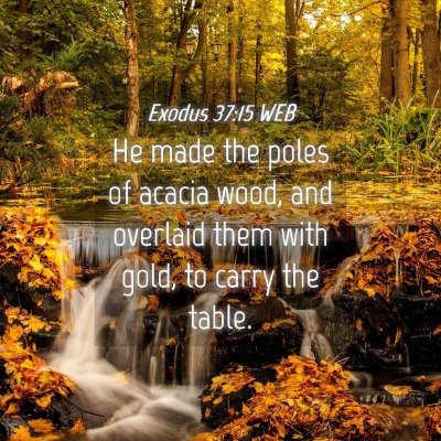 Picture 04 - Exodus 37:15 WEB - He made the poles of acacia wood, and overlaid - Bible Verse Picture