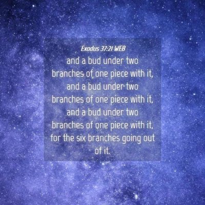 Picture 04 - Exodus 37:21 WEB - and a bud under two branches of one piece with - Bible Verse Picture