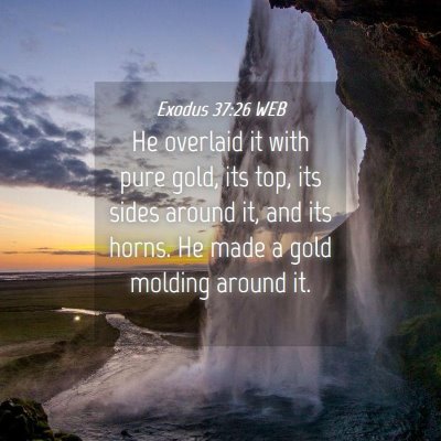 Picture 04 - Exodus 37:26 WEB - He overlaid it with pure gold, its top, its sides - Bible Verse Picture