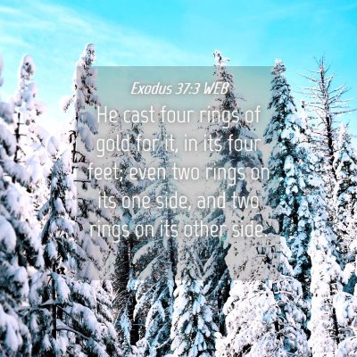 Picture 04 - Exodus 37:3 WEB - He cast four rings of gold for it, in its four - Bible Verse Picture