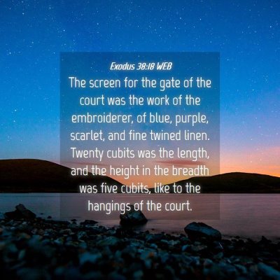 Picture 04 - Exodus 38:18 WEB - The screen for the gate of the court was the work - Bible Verse Picture