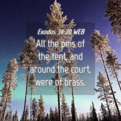 Picture 04 - Exodus 38:20 WEB - All the pins of the tent, and around the court, - Bible Verse Picture