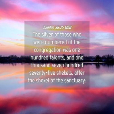 Picture 04 - Exodus 38:25 WEB - The silver of those who were numbered of the - Bible Verse Picture