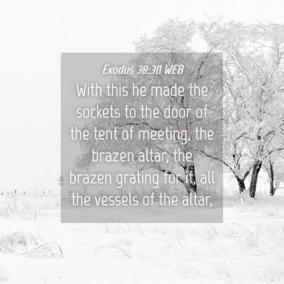 Picture 04 - Exodus 38:30 WEB - With this he made the sockets to the door of the - Bible Verse Picture