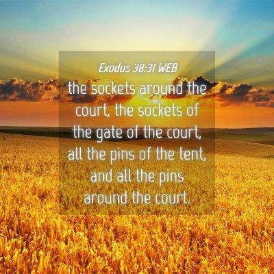 Picture 04 - Exodus 38:31 WEB - the sockets around the court, the sockets of the - Bible Verse Picture