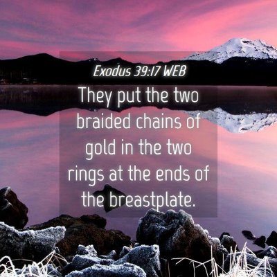 Picture 04 - Exodus 39:17 WEB - They put the two braided chains of gold in the - Bible Verse Picture