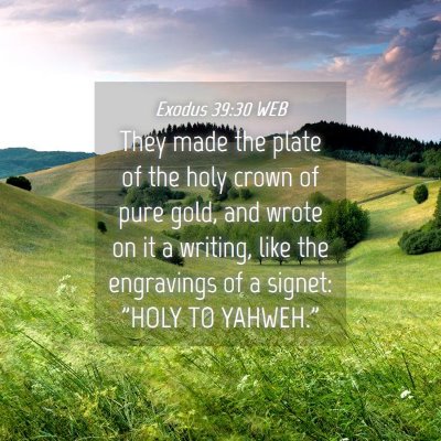 Picture 04 - Exodus 39:30 WEB - They made the plate of the holy crown of pure - Bible Verse Picture