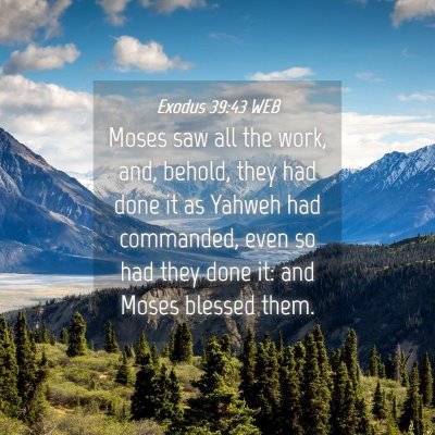 Picture 04 - Exodus 39:43 WEB - Moses saw all the work, and, behold, they had - Bible Verse Picture