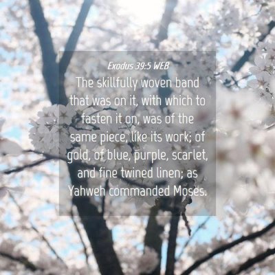 Picture 04 - Exodus 39:5 WEB - The skillfully woven band that was on it, with - Bible Verse Picture