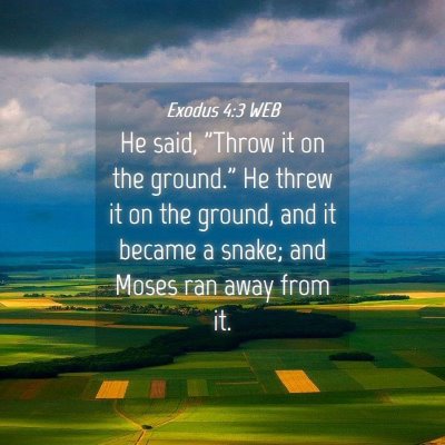 Picture 04 - Exodus 4:3 WEB - He said, 