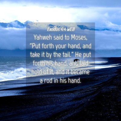 Picture 04 - Exodus 4:4 WEB - Yahweh said to Moses, 