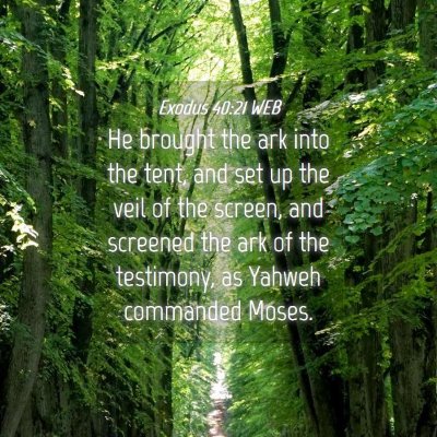 Picture 04 - Exodus 40:21 WEB - He brought the ark into the tent, and set up the - Bible Verse Picture