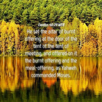 Picture 04 - Exodus 40:29 WEB - He set the altar of burnt offering at the door of - Bible Verse Picture