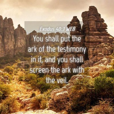 Picture 04 - Exodus 40:3 WEB - You shall put the ark of the testimony in it, and - Bible Verse Picture