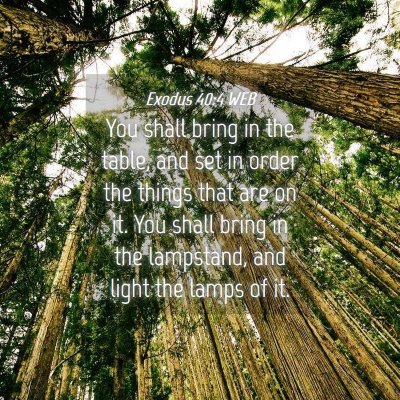 Picture 04 - Exodus 40:4 WEB - You shall bring in the table, and set in order - Bible Verse Picture