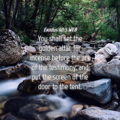 Picture 04 - Exodus 40:5 WEB - You shall set the golden altar for incense before - Bible Verse Picture